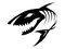 Skullshark
